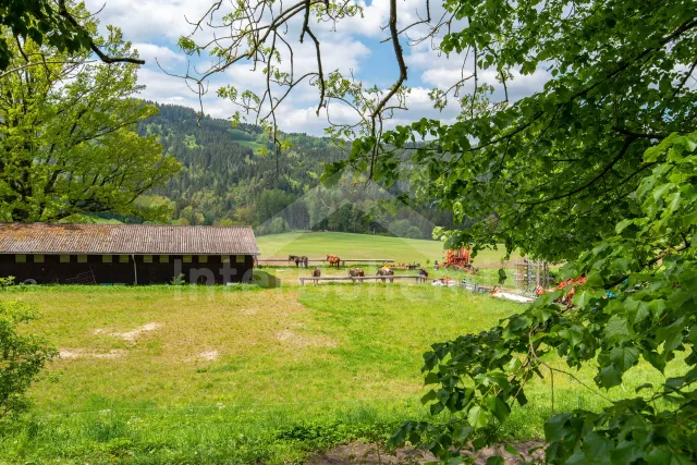 Chalupa Lipno - Dvůr Metlice JC 0824