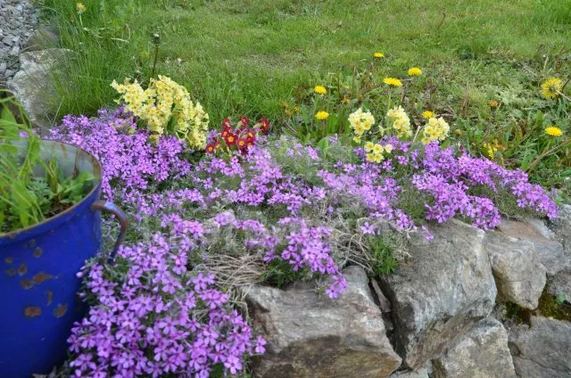 Chalupa Šumava a předhůří JC 0065