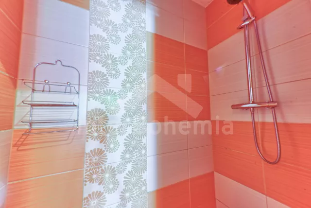 Holiday Home Bohemian forest ZC 0007