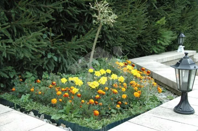 Vila Česká Kanada JC 0067