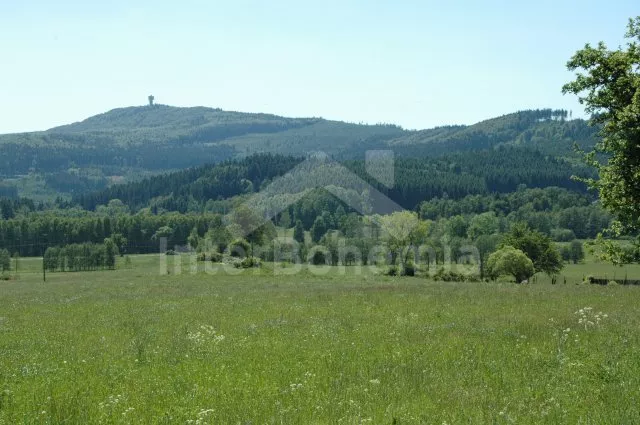 Vila Český les ZC 0011