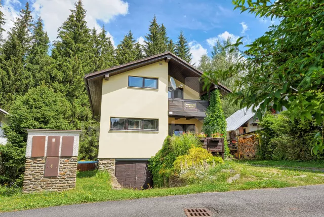 Chalet Bohemian Forest - Javorna ZC 0013