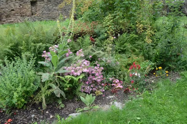 Chalupa Šumava a předhůří JC 0076