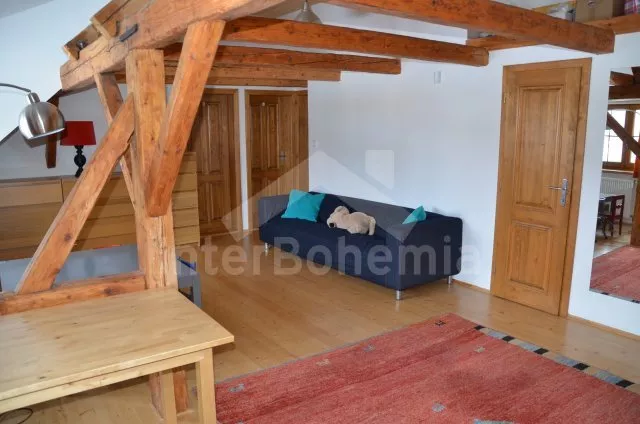 Vila Český les ZC 0032