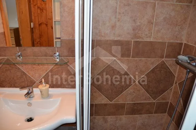 Vila Český les ZC 0032