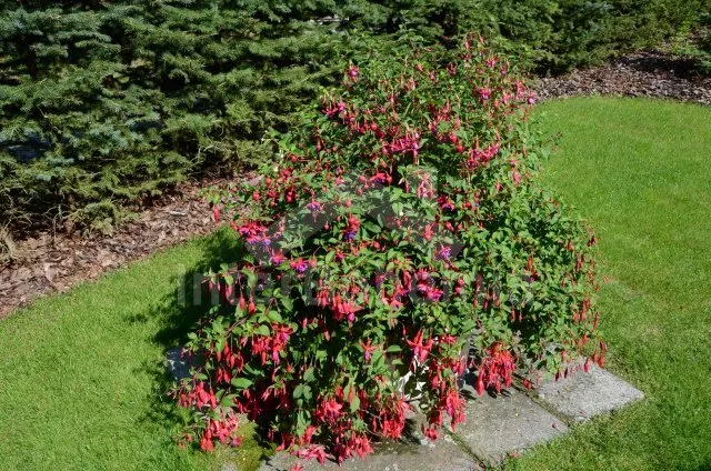 Chalupa Šumava a předhůří ZC 0048