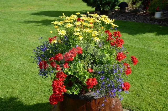 Holiday Home Bohemian Forest ZC 0048