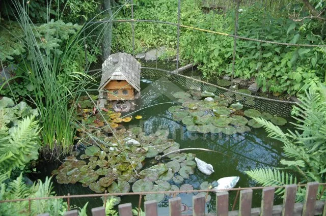 Chalupa Křivoklátsko ZC 0100