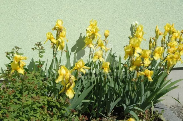 Domek Šumava a předhůří ZC 0132