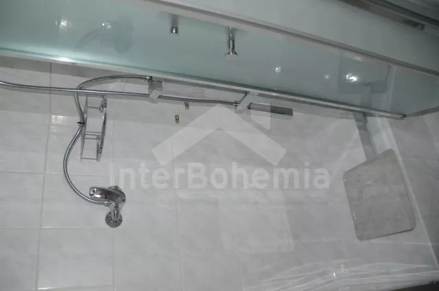 Vila Český les ZC 0137