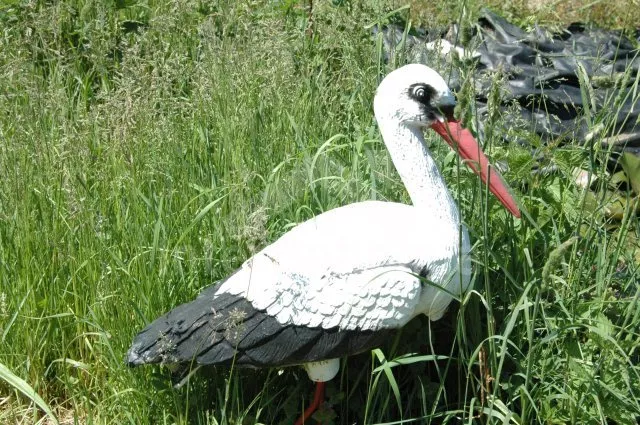 Chalupa Český les ZC 0145