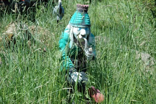 Chalupa Český les ZC 0145