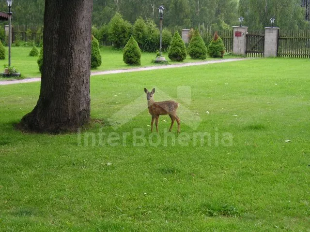 Hájovna Lázeňský trojúhelník ZC 0153