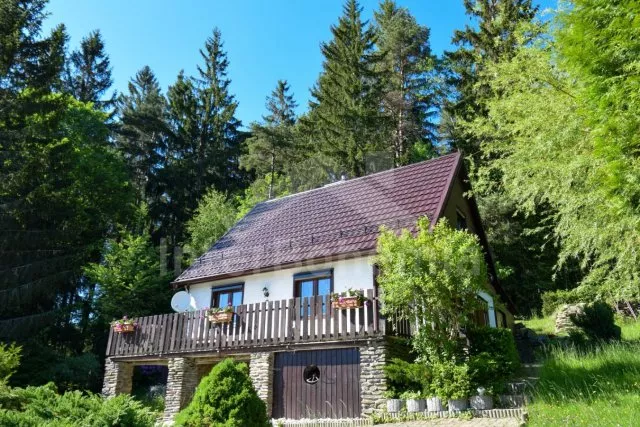 nová střecha (2020)