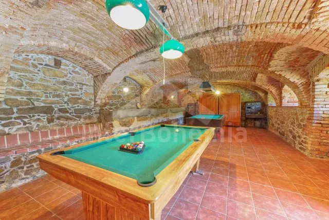 Statek Český les ZC 0173