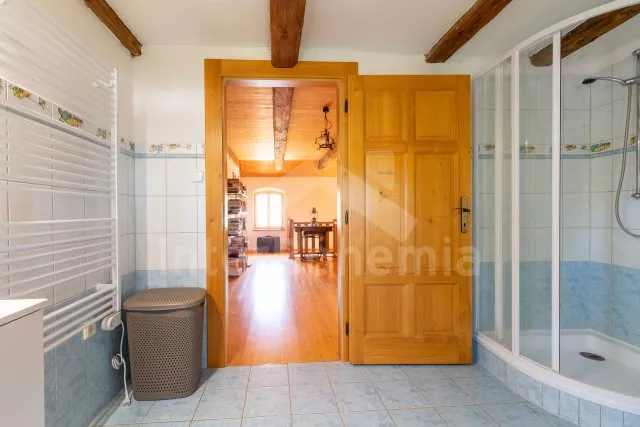 Statek Český les ZC 0173