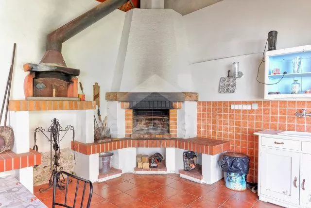 Statek Český les ZC 0173