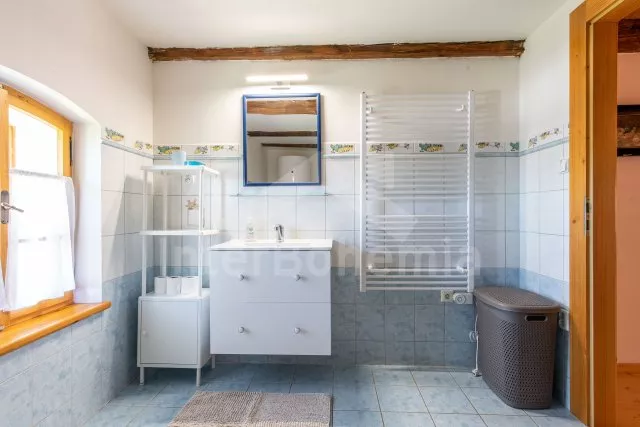 Statek Český les ZC 0173