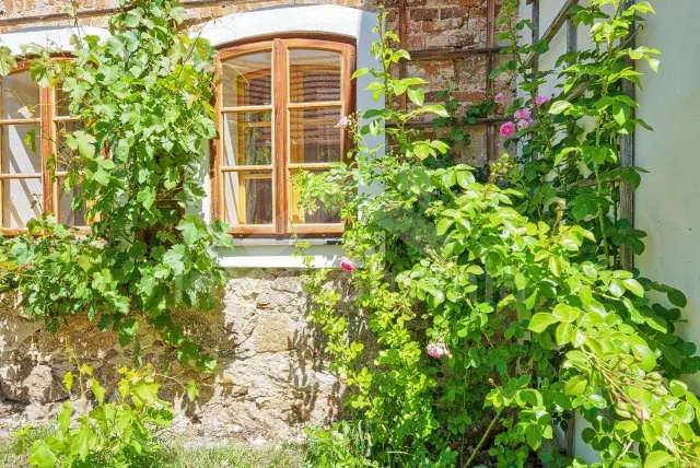 Statek Český les ZC 0173