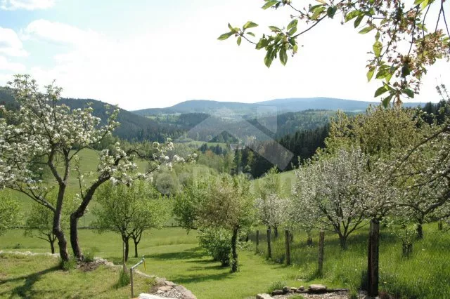 Domek Šumava a předhůří ZC 0174