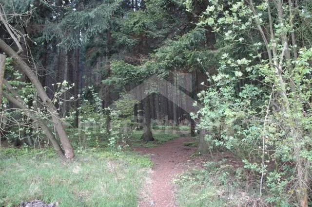 Chalupa Český les ZC 0176