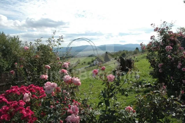 Apartmán Šumava a předhůří ZC 0184