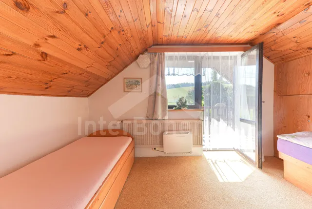 Chalet Orlicke Mountains VC 0006