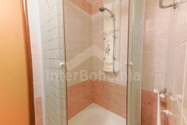 Chalet Orlicke Mountains VC 0006