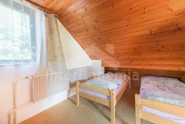 Chalet Orlicke Mountains VC 0006