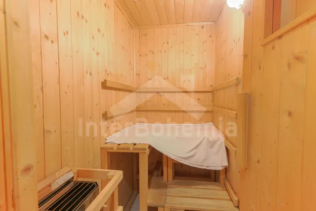 Chalet Orlicke Mountains VC 0006