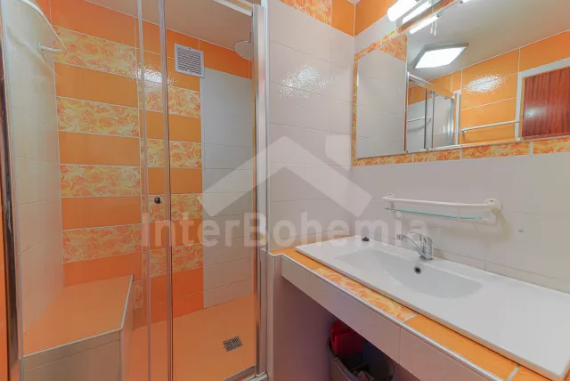 Chalet Orlicke Mountains VC 0006