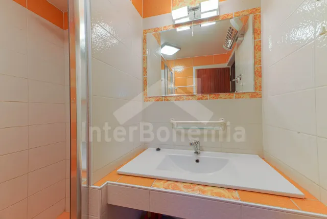 Chalet Orlicke Mountains VC 0006