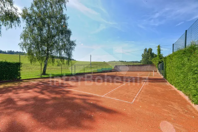 Chalet Orlicke Mountains VC 0006