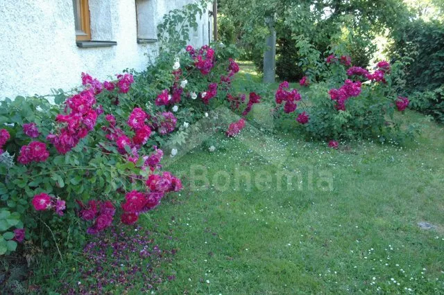 Apartmán Českomoravská vrchovina VC 0011