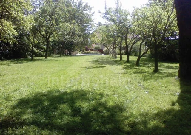 Vakantiehuis Boheems-Moravische hoogvlakte VC 0015