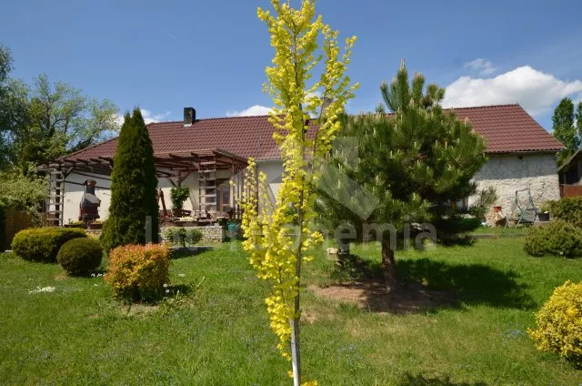 Chalupa Česká Kanada JC 0102