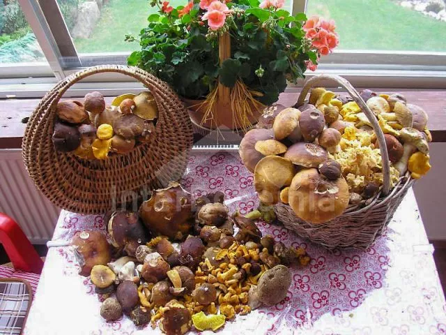 Chata Tábor a okolí JC 0112