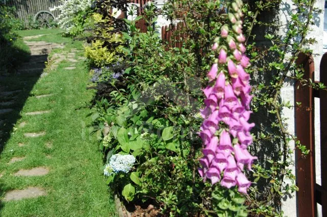 Chata Tábor a okolí JC 0112