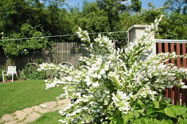 Chata Tábor a okolí JC 0112