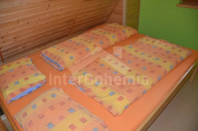 Vila Broumovsko VC 0035