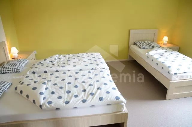 Vila Českomoravská vrchovina VC 0037