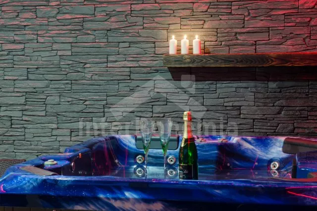 Vila Českomoravská vrchovina VC 0037