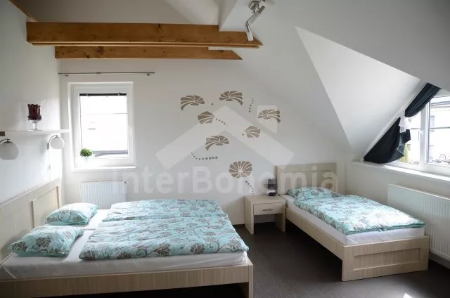 Vila Českomoravská vrchovina VC 0037