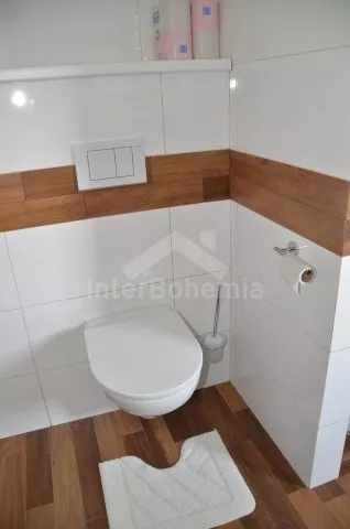 Vila Českomoravská vrchovina VC 0037