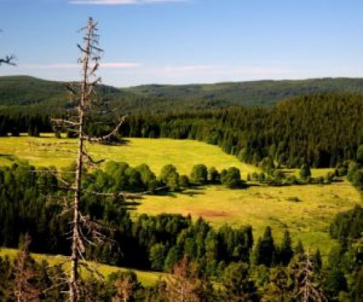 Tipy na letní dovolenou