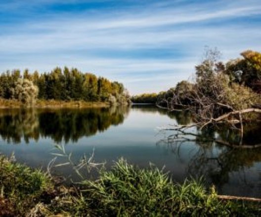 Ty nejkrásnější výlety v Posázaví a okolí