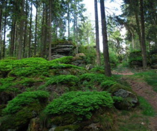 Tipy na výlety po Novohradských horách